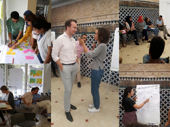collage school of democracy