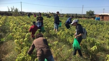 Kinderen van CSK en Don Bosco u 2b Heard op het platteland aan het werk